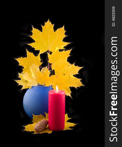 Yellow maple autumn beautiful leaves with branch in blue ceramic vase fur-tree and  red candle on black background