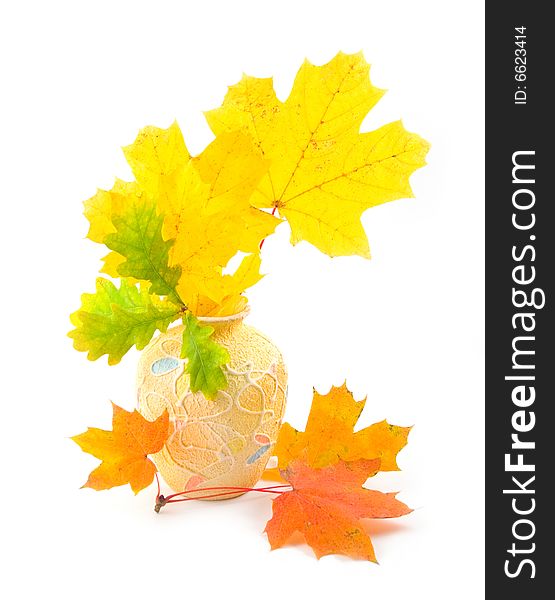 Bouquet from yellow autumn branches of leaves of maple and an oak in vase on white background