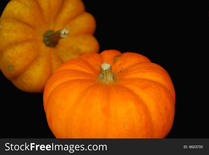 Two Mini-pumpkins