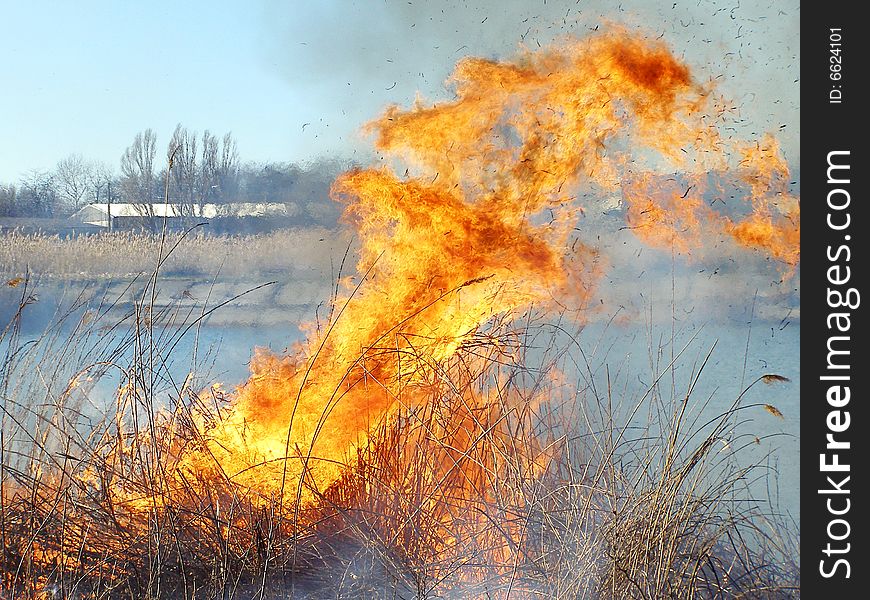 A bright fire is burned by a reed on a lake