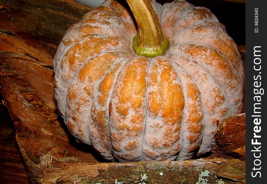 Close up of braun pumpkin wtih wooden background