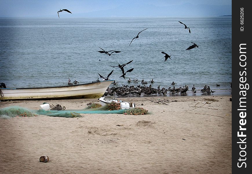 Fishing boat and net on beach, birds flying around by ocean