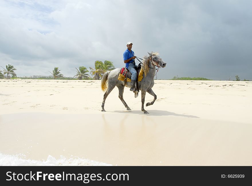 Knight in tropical paradise, by the beautiful Macao beach  in Punta Cana, Dominican Republic