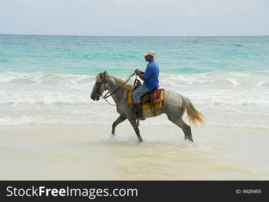 Knight in tropical paradise, by the beautiful Macao beach  in Punta Cana, Dominican Republic. Knight in tropical paradise, by the beautiful Macao beach  in Punta Cana, Dominican Republic