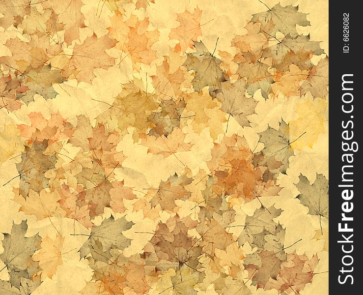 Maple Leaves On The Yellow (Background)