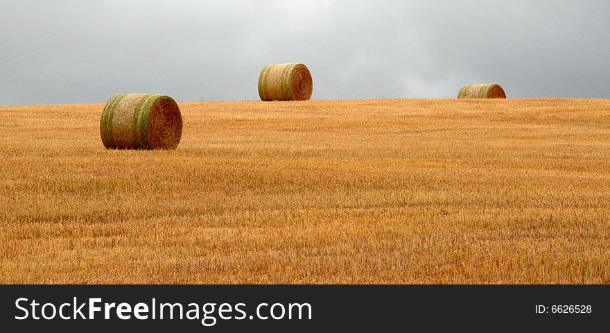 Wheat pack on a cloudy day