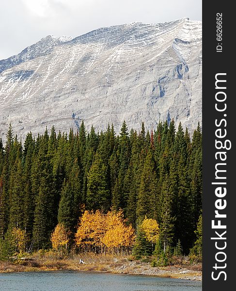 Canadian Rockies In Autumn
