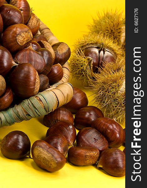 Many ripe chestnuts on yellow background