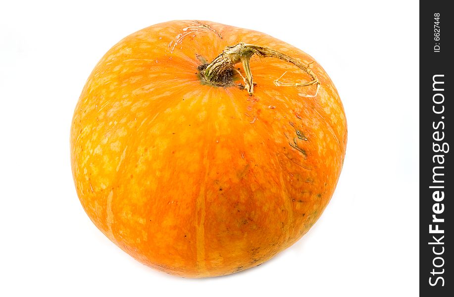 Big beautiful and useful orange pumpkin vegetable plant on white background