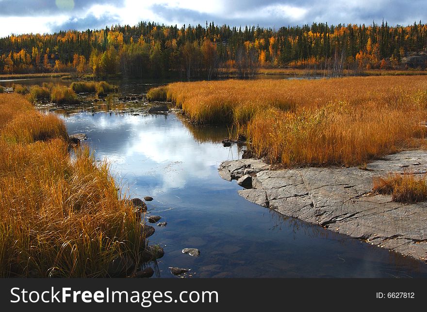 The river  between brightly yellow meadows. The river  between brightly yellow meadows