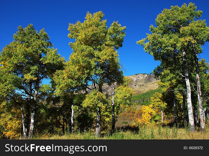 Sheep River Valley In Autumn