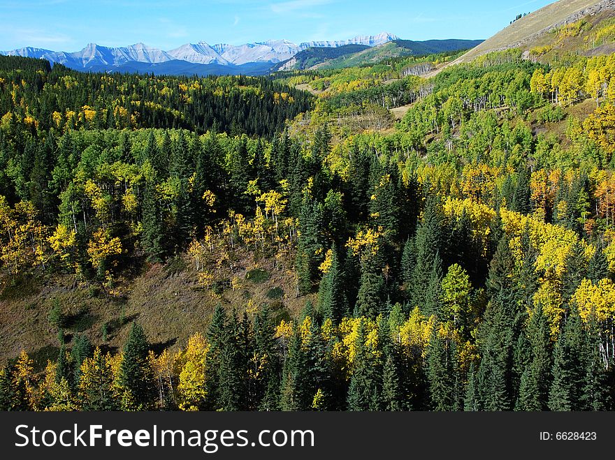 Sheep River Valley In Autumn