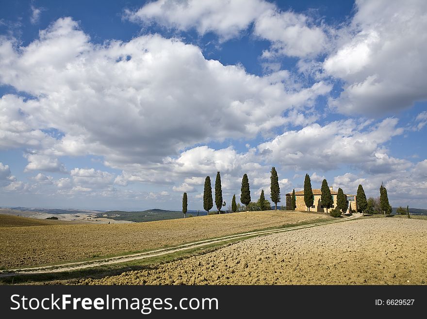 Tuscan Landscape, Farm And Cypress