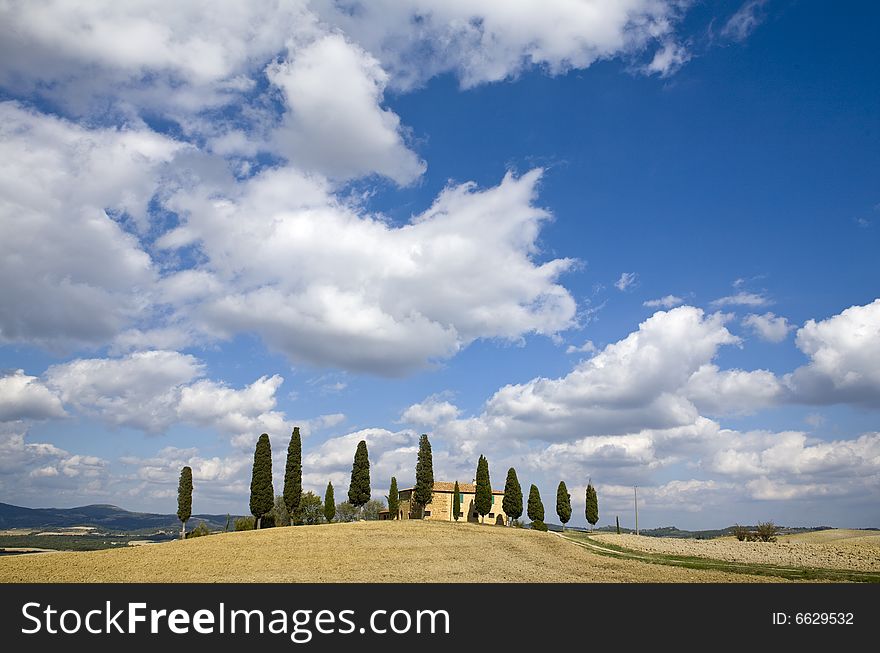 Tuscan Landscape, Farm And Cypress