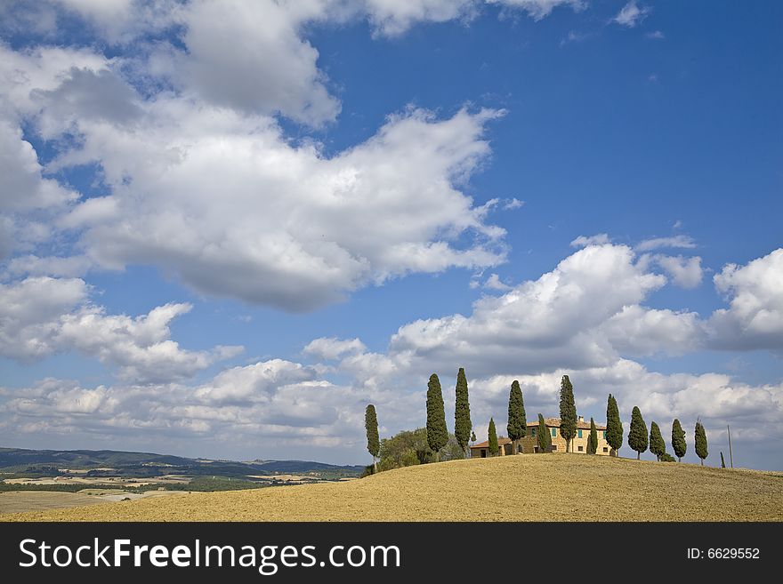 Tuscan Landscape, Farm And Cypress