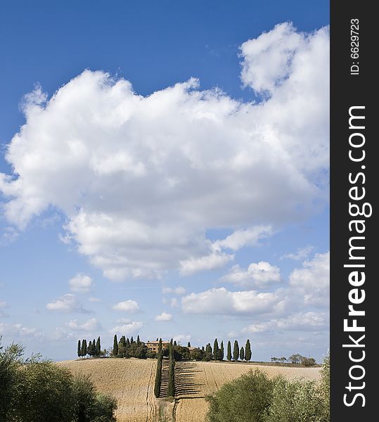 Tuscan landscape whit cloud, valle d'Orcia, italy. Tuscan landscape whit cloud, valle d'Orcia, italy