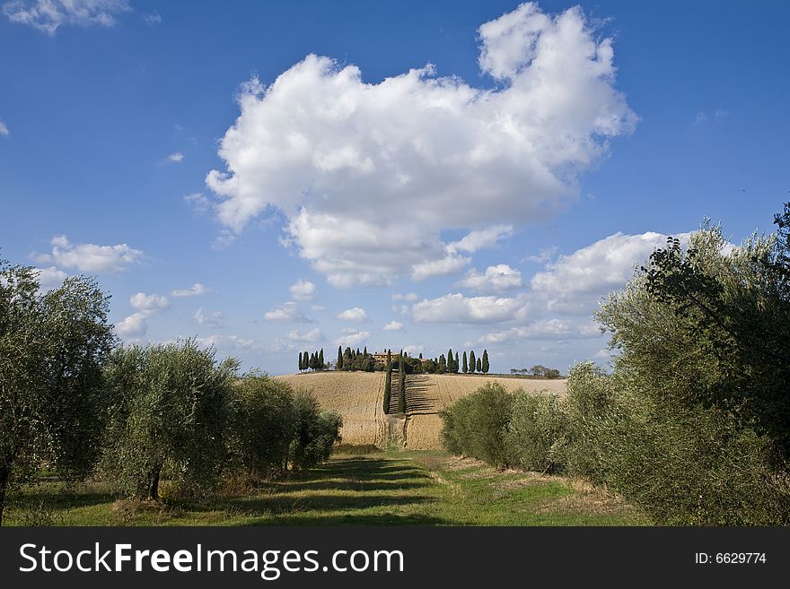 Tuscan Landscape, farm and cypress