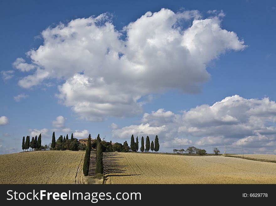 Tuscan Landscape, Farm And Cypress