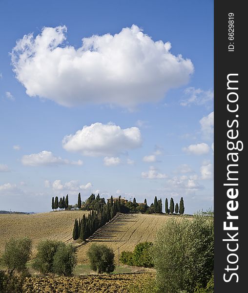 Tuscan Landscape, farm and cypress