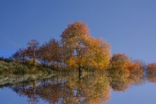 Fall Reflections Royalty Free Stock Photo Fall Reflections Royalty Free Stock Photo