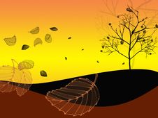 Tree And Leaves Royalty Free Stock Photos Tree And Leaves Royalty Free Stock Photos