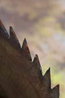 Saw Blade Detail Royalty Free Stock Photography Saw Blade Detail Royalty Free Stock Photography