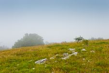 Misty Morning Stock Photo Misty Morning Stock Photo
