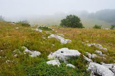 Misty Morning Stock Images Misty Morning Stock Images
