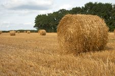 Hay Bales Royalty Free Stock Photo Hay Bales Royalty Free Stock Photo