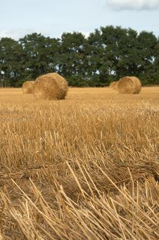 Hay Bales Stock Photography Hay Bales Stock Photography