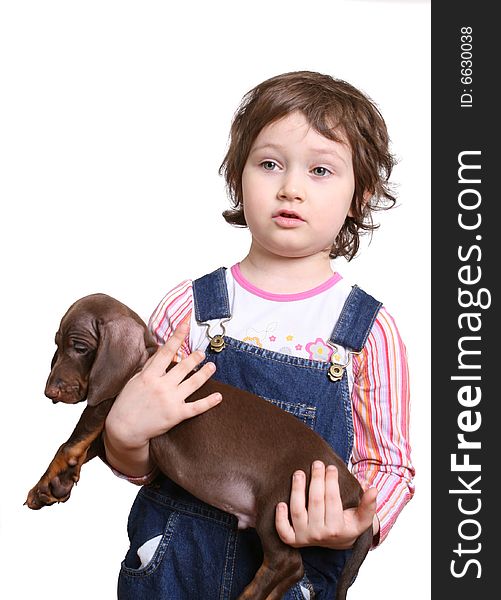 Little girl with dachshund puppy on white ground