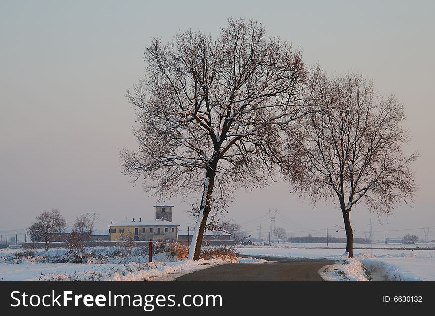 Cold Winter Countryside Day