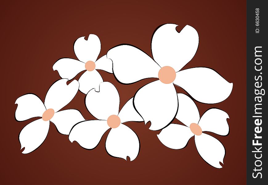 White Flowers Background