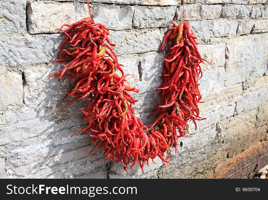 Red chili in Bback yard of Chinese national minority family. Red chili in Bback yard of Chinese national minority family