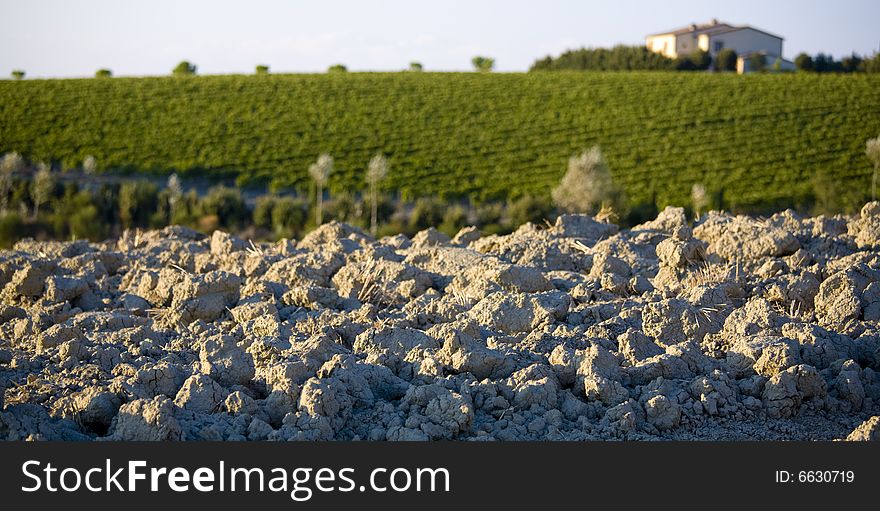 Tuscan Landscape, Isolated Farm