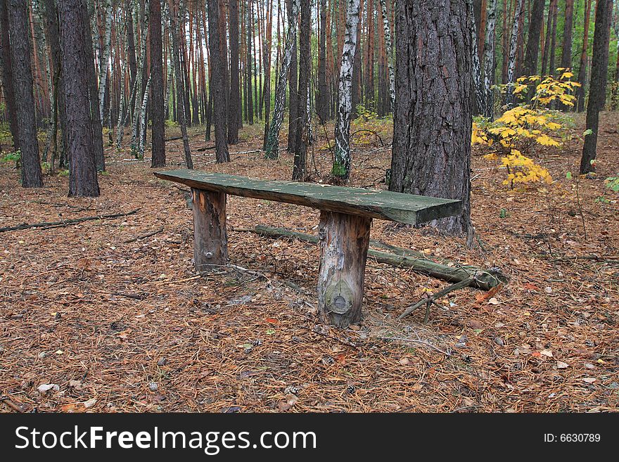 Wooden bench in autumn forest