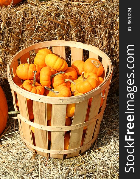 Bunch of gourds in a basket with hay
