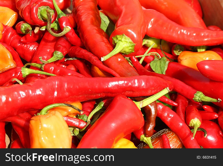 Bunch of hot chili peppers