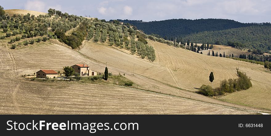 Tuscan Landscape, View On The Hills