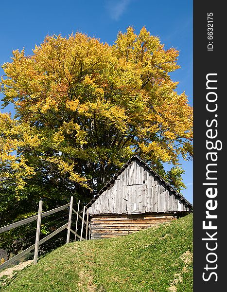 Autumn is coming in romanian mountains (Carpathians). The image is made in village of Magura, in Piatra Craiului National Park. Autumn is coming in romanian mountains (Carpathians). The image is made in village of Magura, in Piatra Craiului National Park