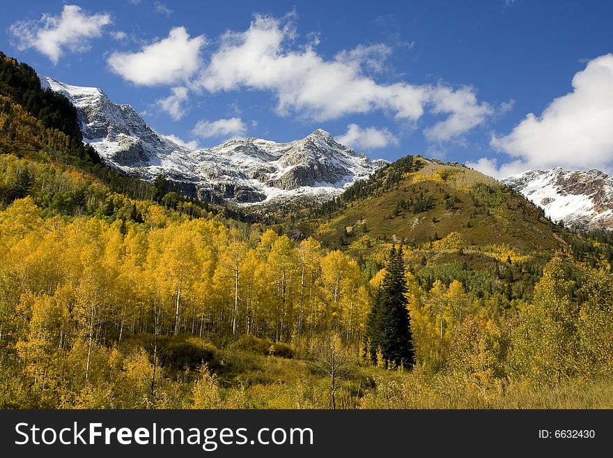 Fall colors on a high mountain meadow with blue sky and clouds. Fall colors on a high mountain meadow with blue sky and clouds