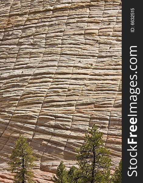 Zion National Park Checkerboard Mesa, Utah