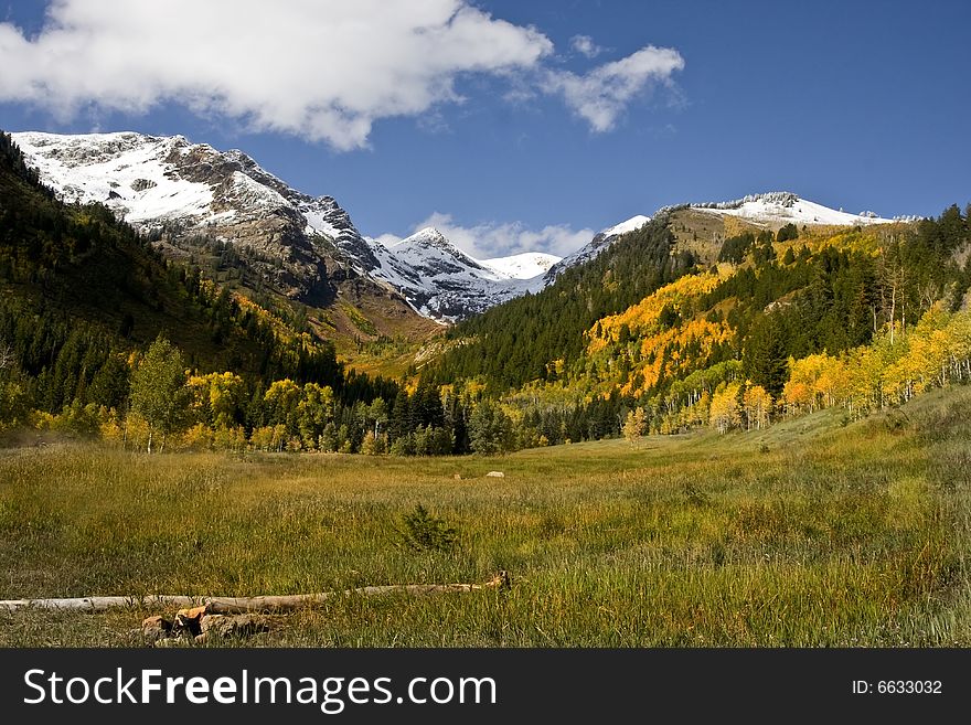 High Mountain Flat in the fall showing all the fall colors with mountains in the background. High Mountain Flat in the fall showing all the fall colors with mountains in the background