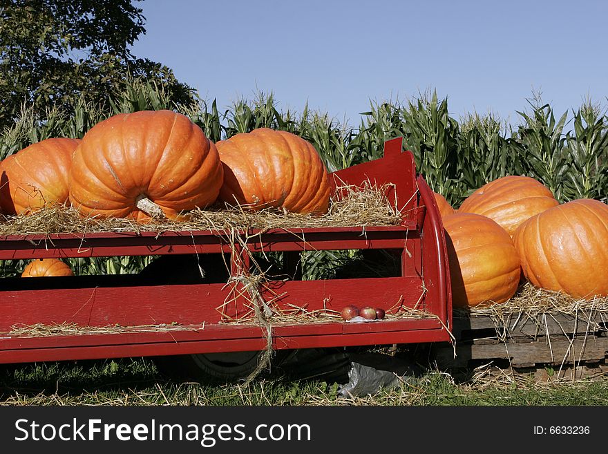 Pumpkins On Red Farm Wagon