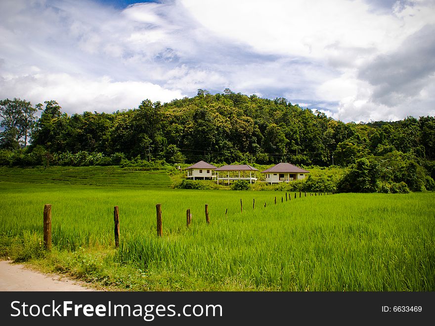 Country view of green farm in rural area. Country view of green farm in rural area