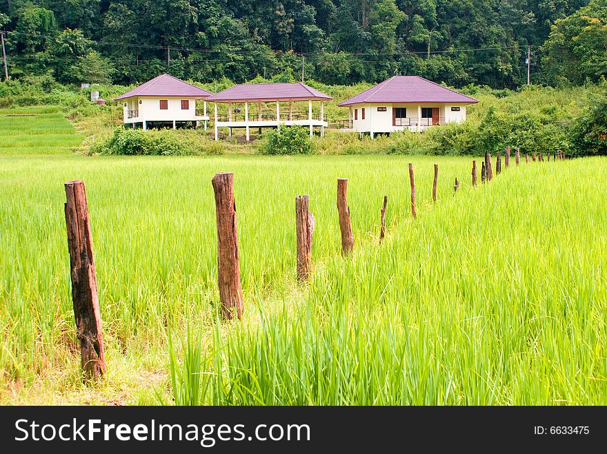 Country view of green farm in rural area. Country view of green farm in rural area
