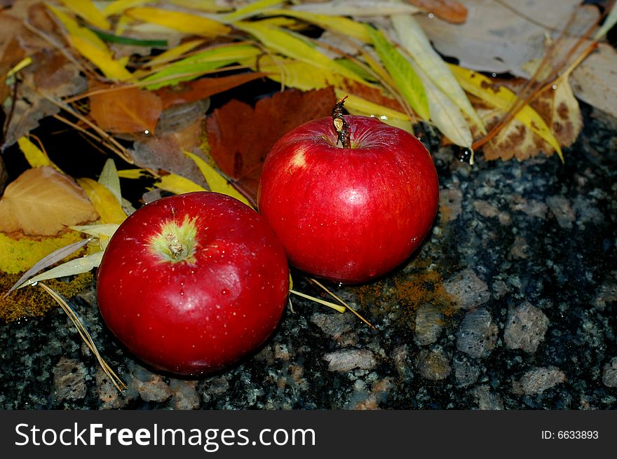 Apples On The Leafs.