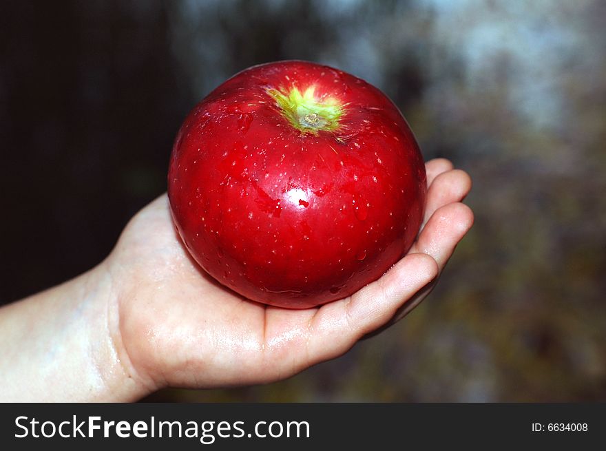 Red apple on childs hand. Red apple on childs hand.