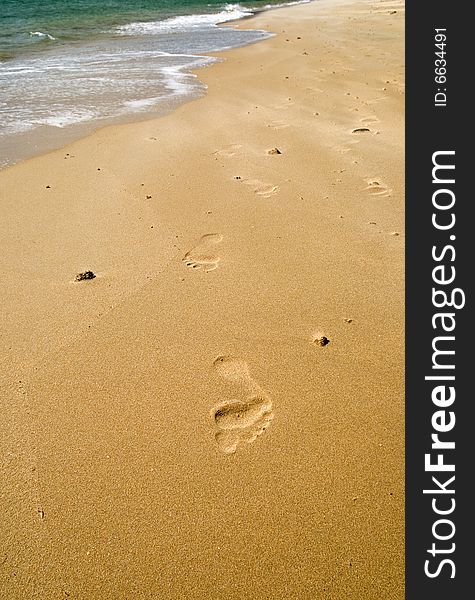 Footsteps on the golden beach. Footsteps on the golden beach