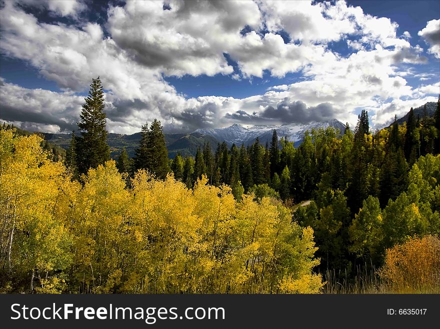 Rocky Mountains showing fall colors. Rocky Mountains showing fall colors